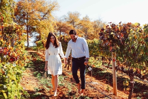 A partir da Cidade do Cabo: Excursão particular de 1 dia pelas vinhas do Cabo