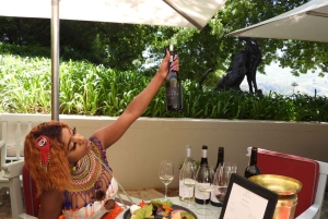 A partir da Cidade do Cabo: Excursão particular de 1 dia pelas vinhas do Cabo