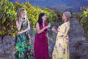 A partir da Cidade do Cabo: Excursão particular de 1 dia pelas vinhas do Cabo