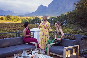 A partir da Cidade do Cabo: Excursão particular de 1 dia pelas vinhas do Cabo