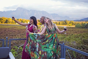 A partir da Cidade do Cabo: Excursão particular de 1 dia pelas vinhas do Cabo