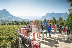 A partir da Cidade do Cabo: Excursão particular de 1 dia pelas vinhas do Cabo