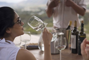 A partir da Cidade do Cabo: Excursão particular de 1 dia pelas vinhas do Cabo