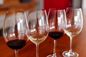 A partir da Cidade do Cabo: Excursão particular de 1 dia pelas vinhas do Cabo