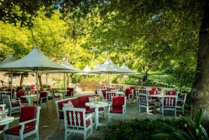 A partir da Cidade do Cabo: Excursão particular de 1 dia pelas vinhas do Cabo