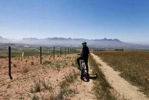 Fra Cape Town: E-Bike Winelands-tur