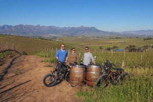 Desde Ciudad del Cabo: Excursión en E-Bike por los Winelands