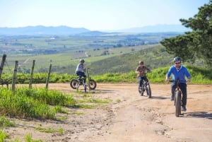Vanuit Kaapstad: E-Bike Winelands Tour