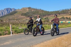 Da Cidade do Cabo: E-Bike Winelands Tour
