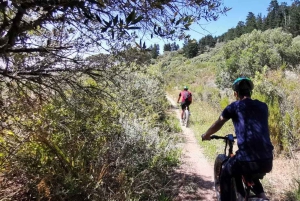 Från Kapstaden: E-Bike Winelands Tour