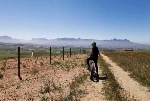 Från Kapstaden: E-Bike Winelands Tour
