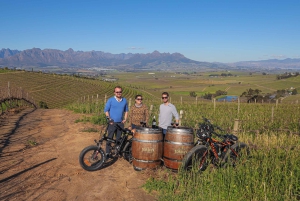Från Kapstaden: E-Bike Winelands Tour