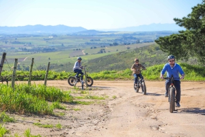 Från Kapstaden: E-Bike Winelands Tour