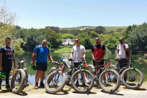 Från Kapstaden: E-Bike Winelands Tour