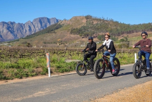 Från Kapstaden: E-Bike Winelands Tour