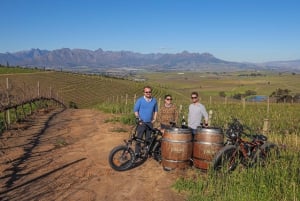 From Cape Town: E-Bike Winelands Tour