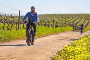 From Cape Town: E-Bike Winelands Tour