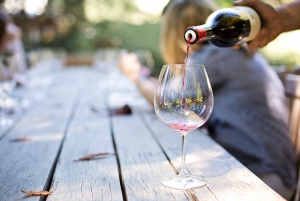 From Cape Town: E-Bike Winelands Tour