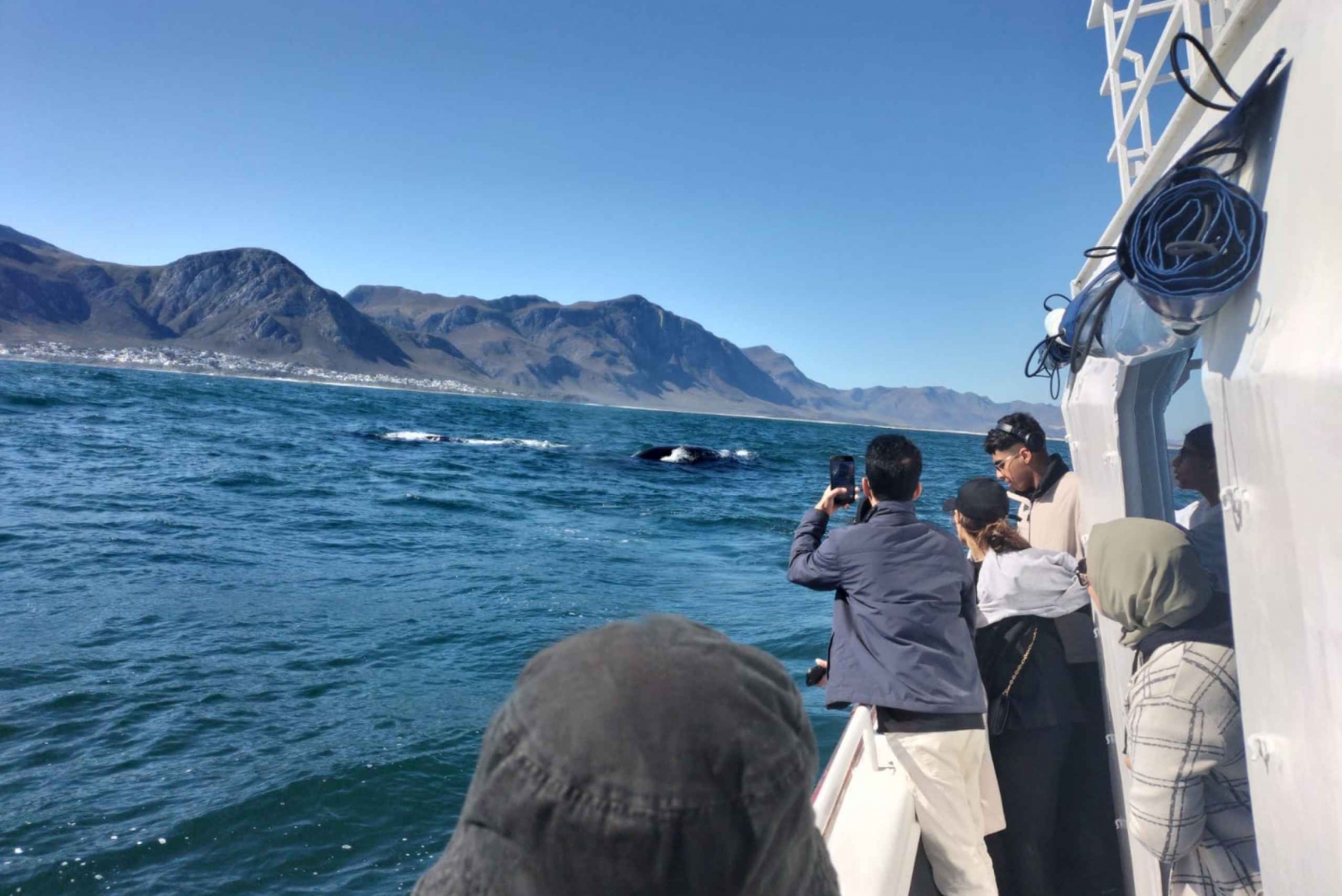 Tour privado a Hermanus - Avistamiento de ballenas (¡Reserva ahora!)