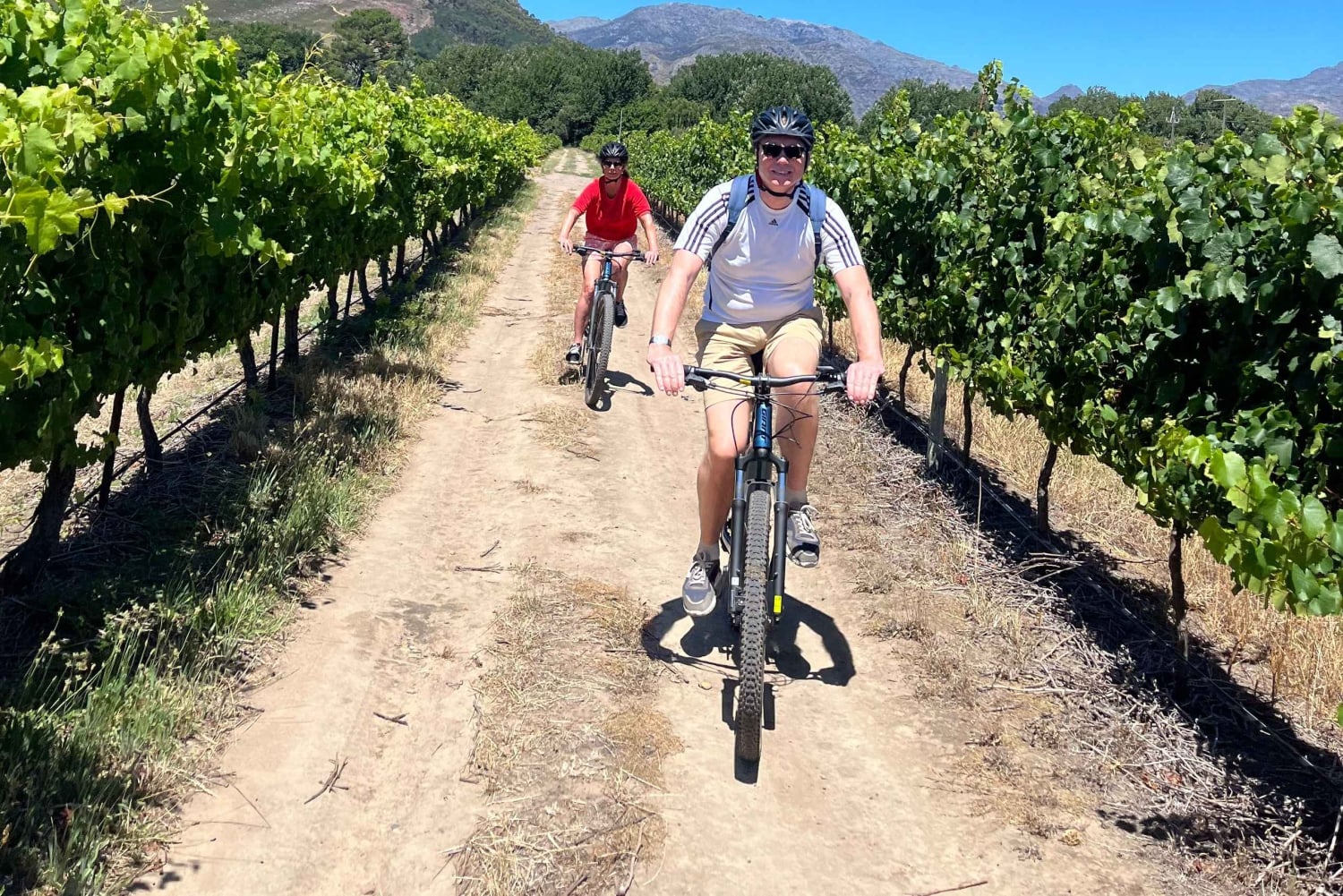 Från Kapstaden: Cykeltur till vingårdarna i Franschhoek med lunch