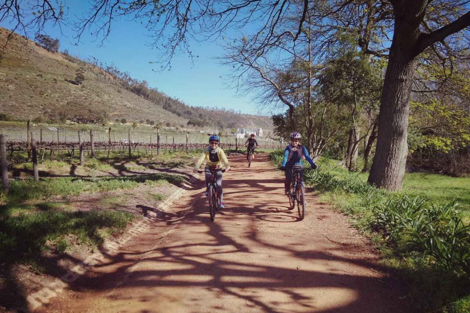 Från Kapstaden: Cykeltur till vingårdarna i Franschhoek med lunch