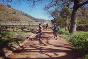 Desde Ciudad del Cabo: Excursión en Bicicleta por los Viñedos de Franschhoek con Almuerzo