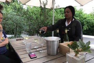 Z Kapsztadu: Wycieczka rowerowa do winnic Franschhoek z lunchem