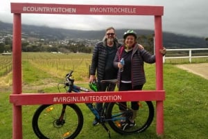 Da Cidade do Cabo: Passeio de bicicleta pelos vinhedos de Franschhoek com almoço