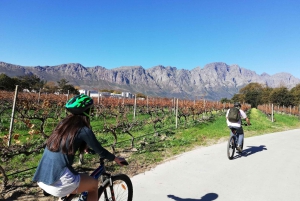 ケープタウン発：フランチェック ヴィンヤーズ サイクリング ツアー（ランチ付き）