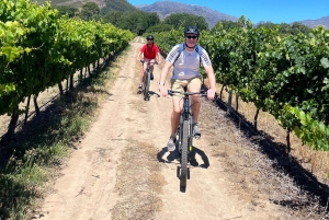 Från Kapstaden: Cykeltur till vingårdarna i Franschhoek med lunch