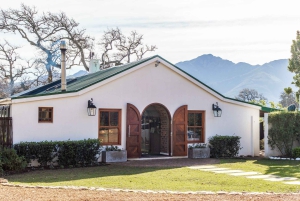 Från Kapstaden: Cykeltur till vingårdarna i Franschhoek med lunch