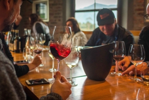 Från Kapstaden: Cykeltur till vingårdarna i Franschhoek med lunch