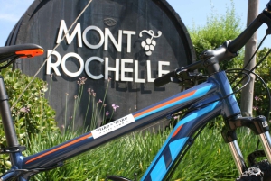 Från Kapstaden: Cykeltur till vingårdarna i Franschhoek med lunch