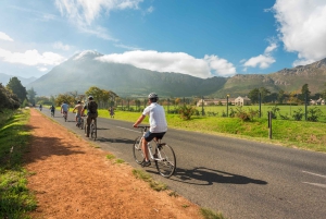 Från Kapstaden: Cykeltur till vingårdarna i Franschhoek med lunch