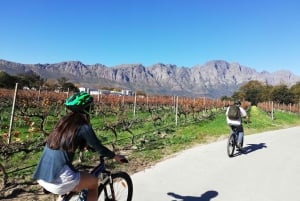 Från Kapstaden: Cykeltur till vingårdarna i Franschhoek med lunch