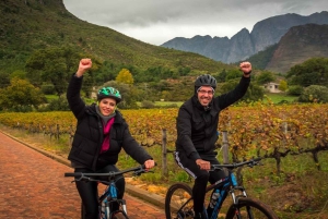 Från Kapstaden: Cykeltur till vingårdarna i Franschhoek med lunch