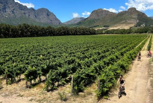 Från Kapstaden: Cykeltur till vingårdarna i Franschhoek med lunch