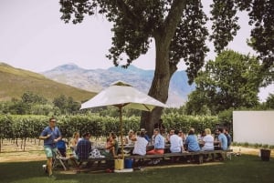 From Cape Town: Franschhoek Wine Tram Hop-on Hop-off