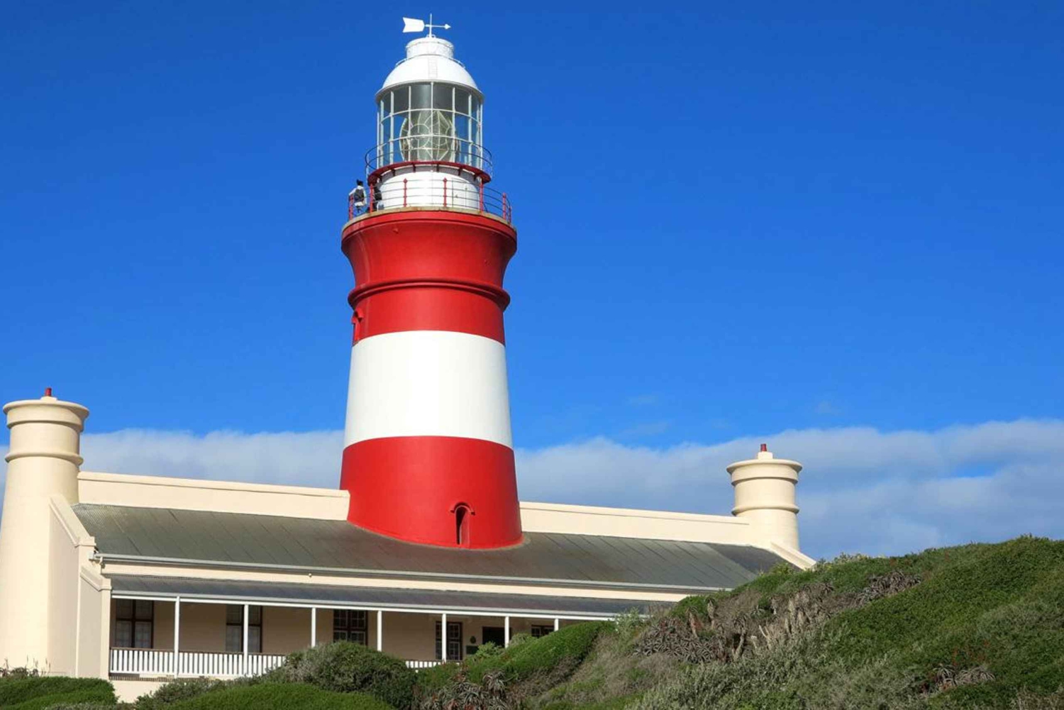 Из Кейптауна: индивидуальный тур на целый день на мыс Игольный