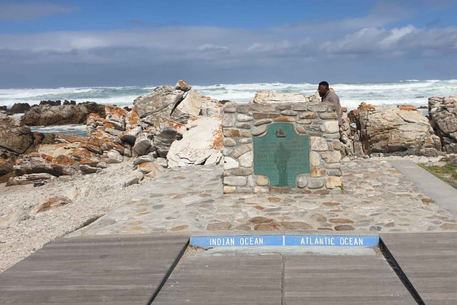 Desde Ciudad del Cabo: Tour privado de un día por el Cabo de las Agujas