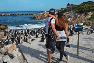Från Kapstaden: Kap Agulhas privat tur med heldagstur