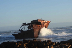 Vanuit Kaapstad: privétour Kaap Agulhas van een hele dag