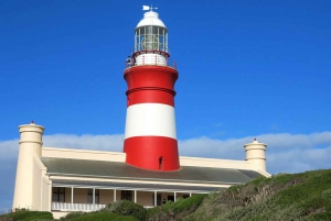 Da Cidade do Cabo: Excursão Privada Cape Agulhas de Dia Inteiro