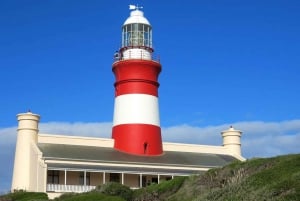 Fra Cape Town: Heldags Cape Agulhas privat tur