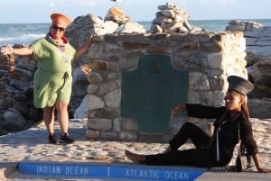 Au départ du Cap : Excursion privée d'une journée au Cap Agulhas