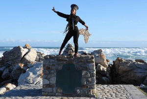 Au départ du Cap : Excursion privée d'une journée au Cap Agulhas