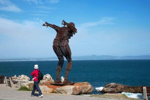 Ab Kapstadt: Private Tagestour zum Kap Agulhas