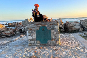 Fra Cape Town: Heldags Cape Agulhas privat tur