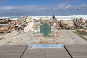 Da Cidade do Cabo: Excursão particular de dia inteiro ao Cabo das Agulhas