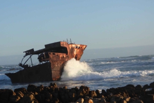 Из Кейптауна: индивидуальный тур на целый день на мыс Игольный